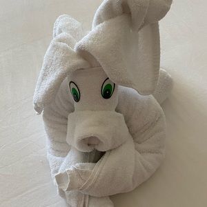 Meet your Posher, Ana